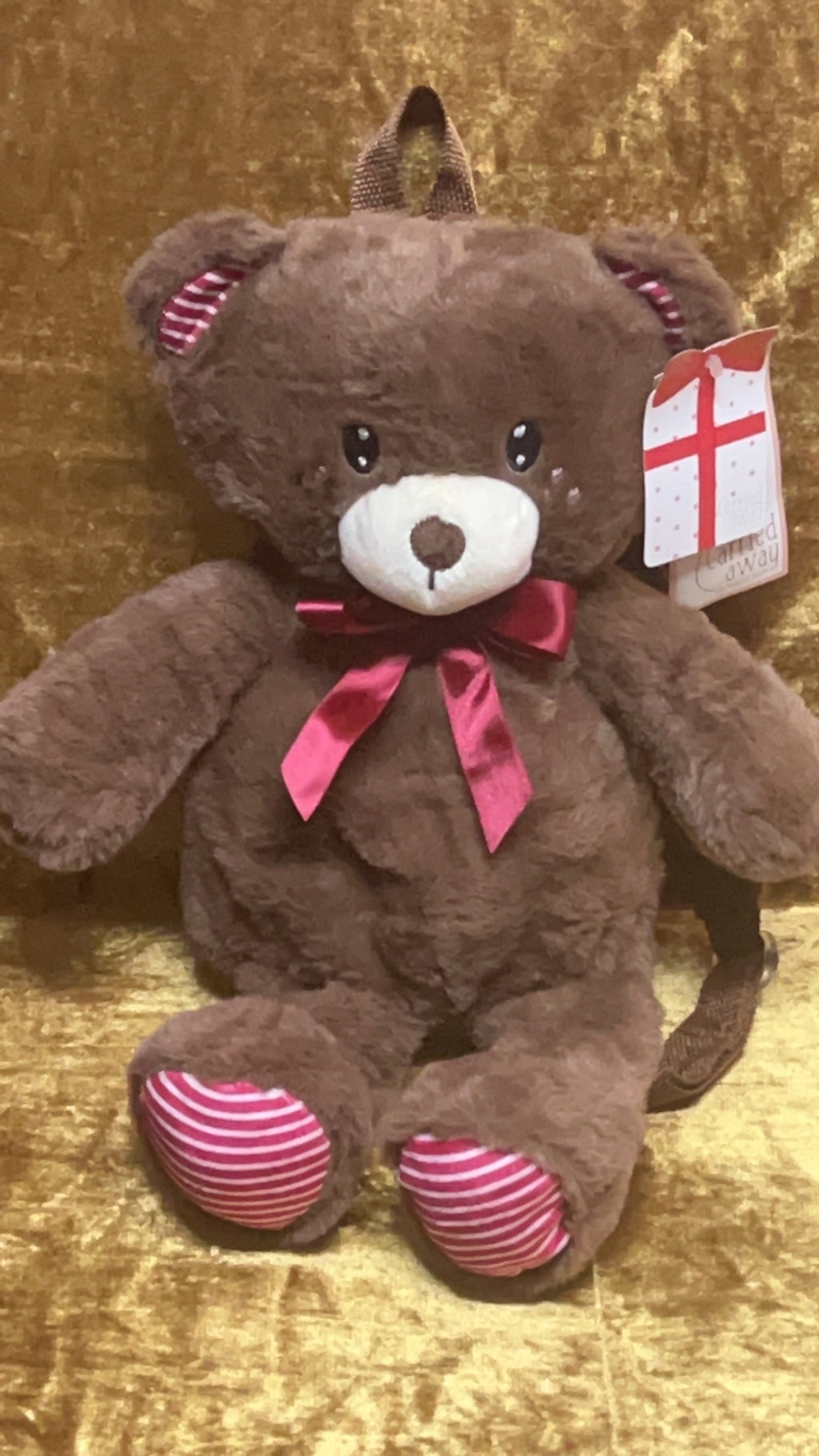 Teddy Bear Backpack Gift for kids